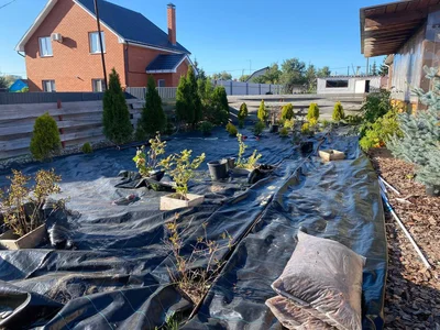 Не забывайте про свои участки - не питомником единым!