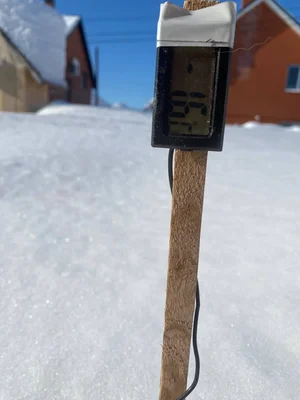 Зима еще не закончилась, но уже нужно готовиться к первой зимовке наших будущих растений.