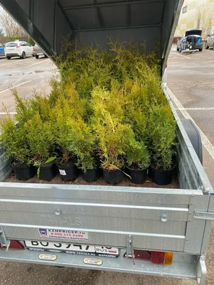 Кто это у нас такой жадный?