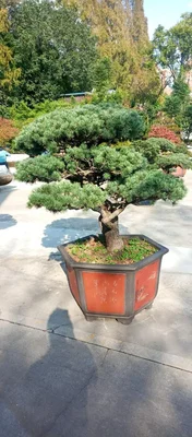 Наш друг и товарищ сейчас в Китае.