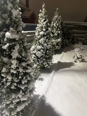 Здрааассьте