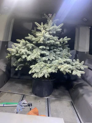 Переходим на такой формат новогодней ели :)