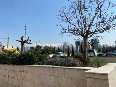 А пока мы все ждем тепла, немного фотографий из ранне-апрельской Алматы 2024 года.