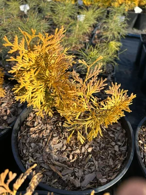 Сегодня был первый рабочий день.