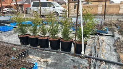 У ребят сегодня стрижка и переезд :)