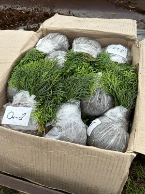 Сегодня, между прочим, ровно год как были сделаны первые посадки.