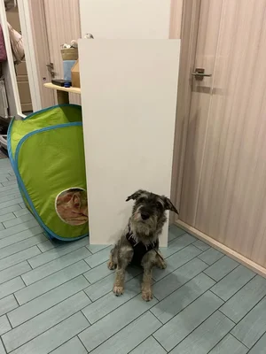 Как Вы думаете, чем можно заняться вечером?