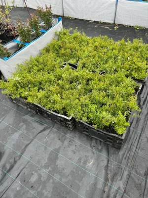 В понедельник - на Рязань :)