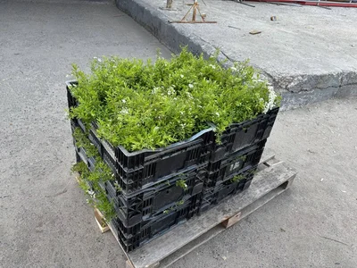 Если кому интересно.