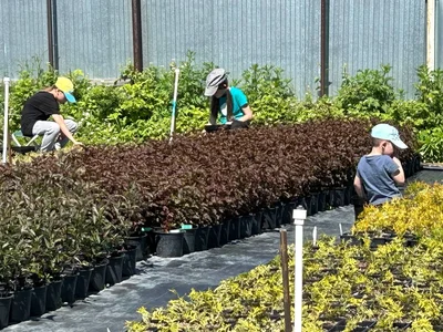 Тренируем мелкую моторику 😂