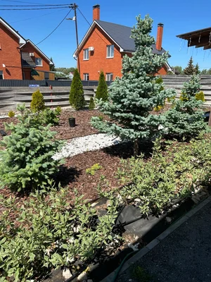 #дневник_роста