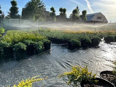 Акваринимся :)