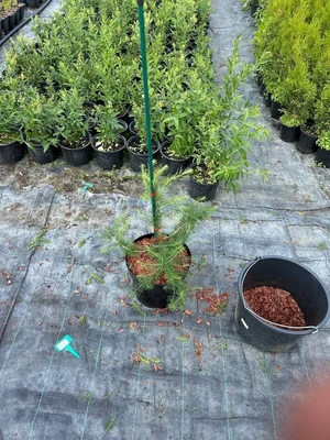 Вот скажите мне.