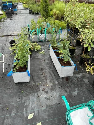 По поводу сумок.