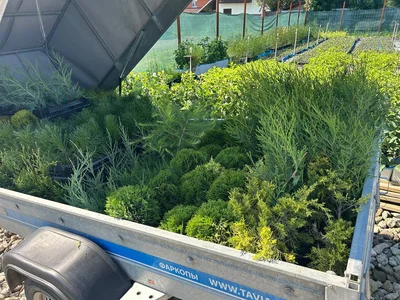 Погрузились, докатились, отгрузились, вернулись, помылись 💪