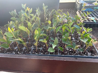 #эксперименты