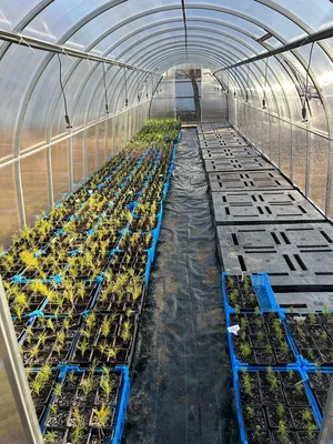 Результат сегодняшних трудов: оттрамбовали основание, застелили застилочный, поставили поддоны, заселили P9.