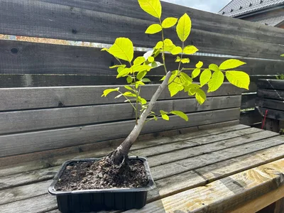 Не кидайтесь в меня тапками, искусили :)