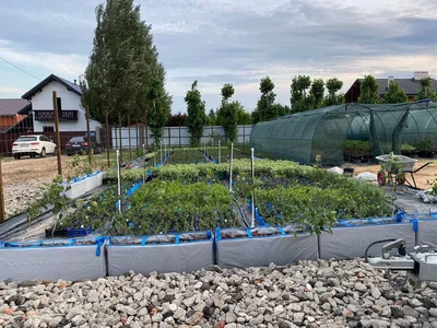 Нет, мы не пропали.