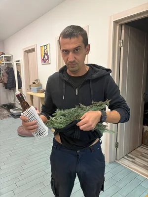 Вот ВААААбще не планировали.