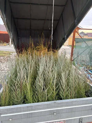 Ну шо, готовы :)