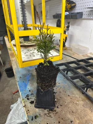 Первые результаты «промышленной эксплуатации»: