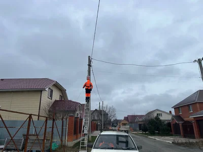 Оптика дотянулась до питомника.