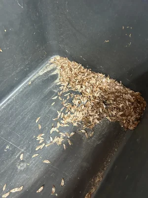 И снова здравствуйте!