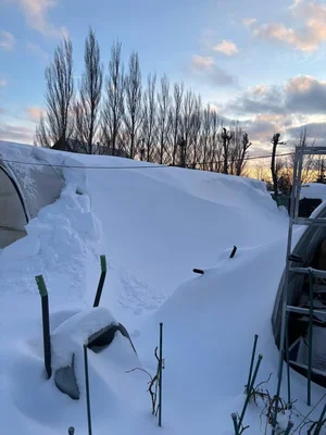 Сегодня устраняли последствия снегопада.