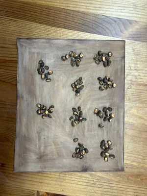 Так выглядит лист наждачной бумаги, 100 орехов кедра сибирского и 40 минут времени.