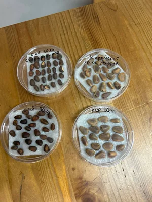 Давно новостей не было.