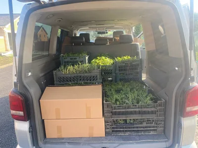 Сегодня сделали почти 1400км за 13 часов чтобы познакомиться с Александром из Владимира, прикупить растюшек и подкормить кровожадных постояльцев нашей Буси - котят.