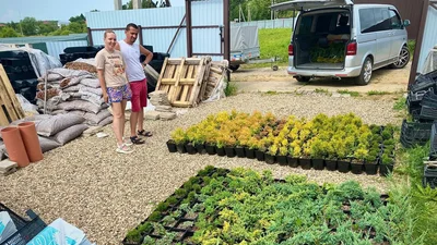 Уже везем наш будущий маточник того, чего нигде не достать… кроме как у Александра @Alexander_AgroHunt (https://t.me/agrohunt).