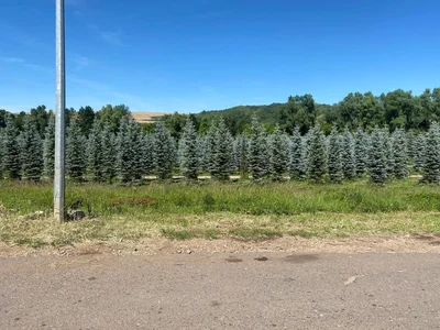 Поехали отдыхать в Лаишево на сутки.