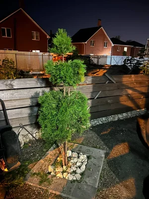 Работа на питомнике не закончилась?