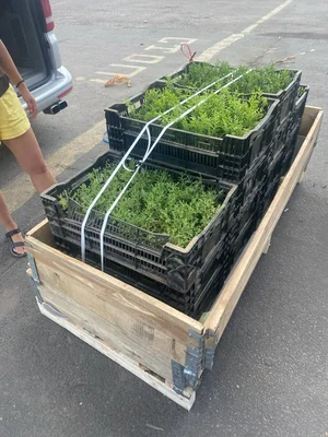 Ла-ла-ла-ла, а нам все мало ;)