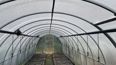 #череночник